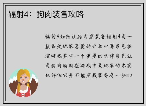 辐射4：狗肉装备攻略